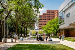 University of Illinois at Chicago campus